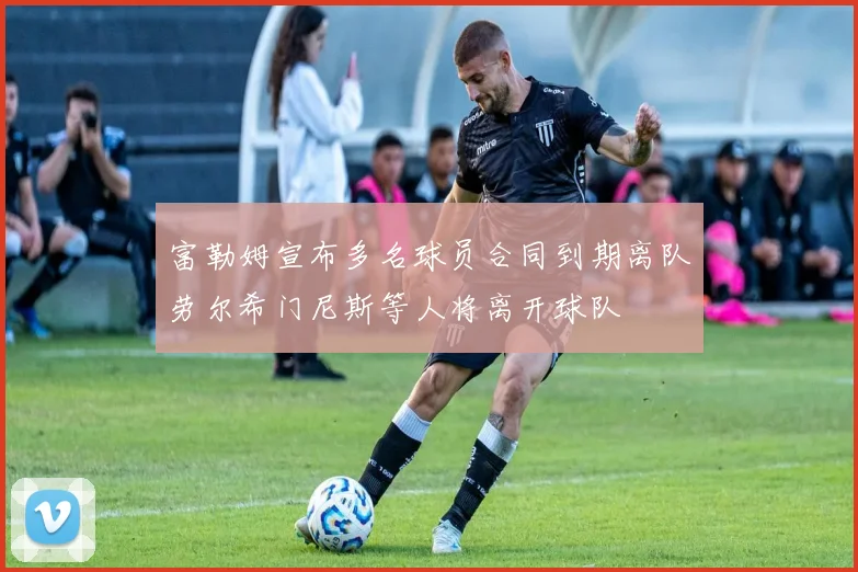 富勒姆宣布多名球员合同到期离队劳尔希门尼斯等人将离开球队
