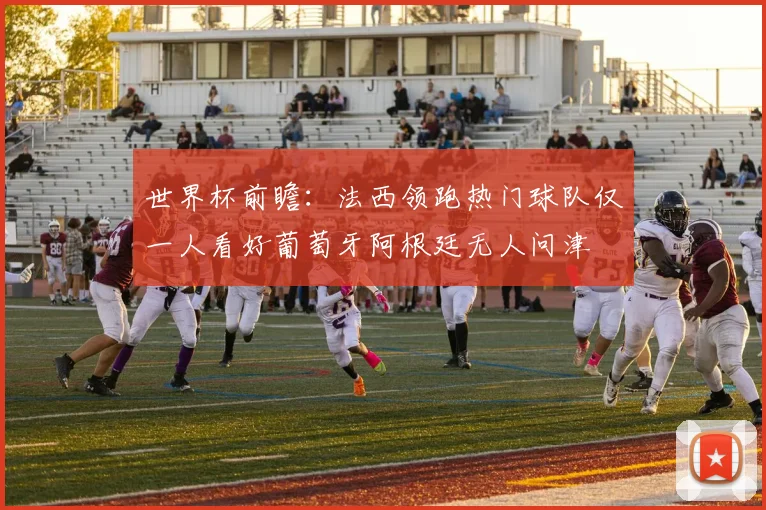 世界杯前瞻：法西领跑热门球队仅一人看好葡萄牙阿根廷无人问津
