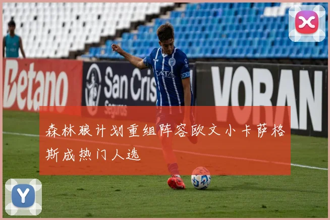 森林狼计划重组阵容欧文小卡萨格斯成热门人选