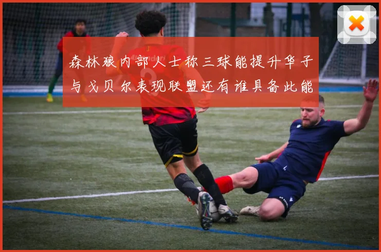森林狼内部人士称三球能提升华子与戈贝尔表现联盟还有谁具备此能力